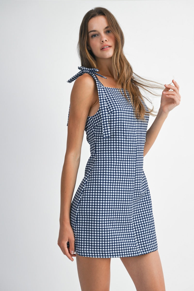 Nalanie Navy Gingham Mini Dress