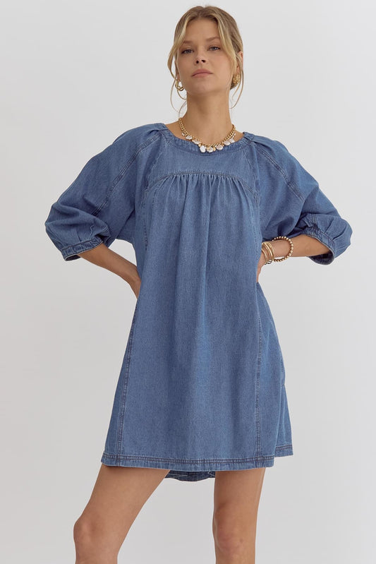 Karri Denim Shift Dress