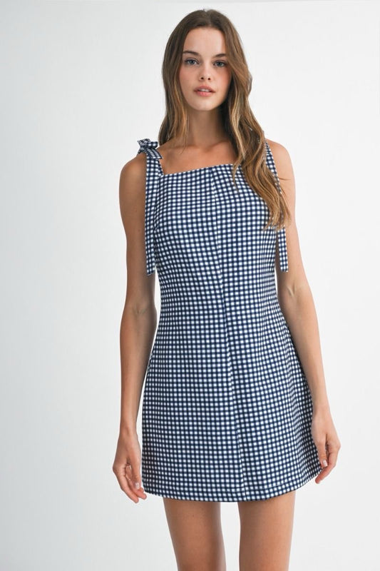 Nalanie Navy Gingham Mini Dress