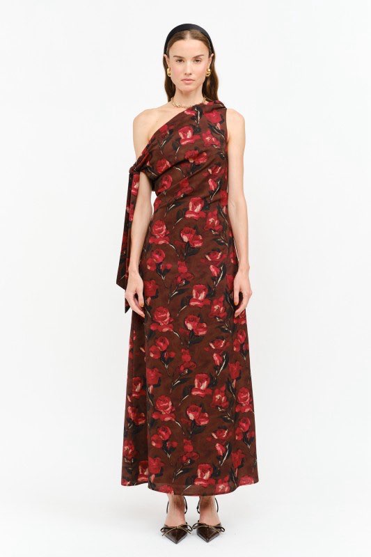 Remie Brown Floral Maxi Dress