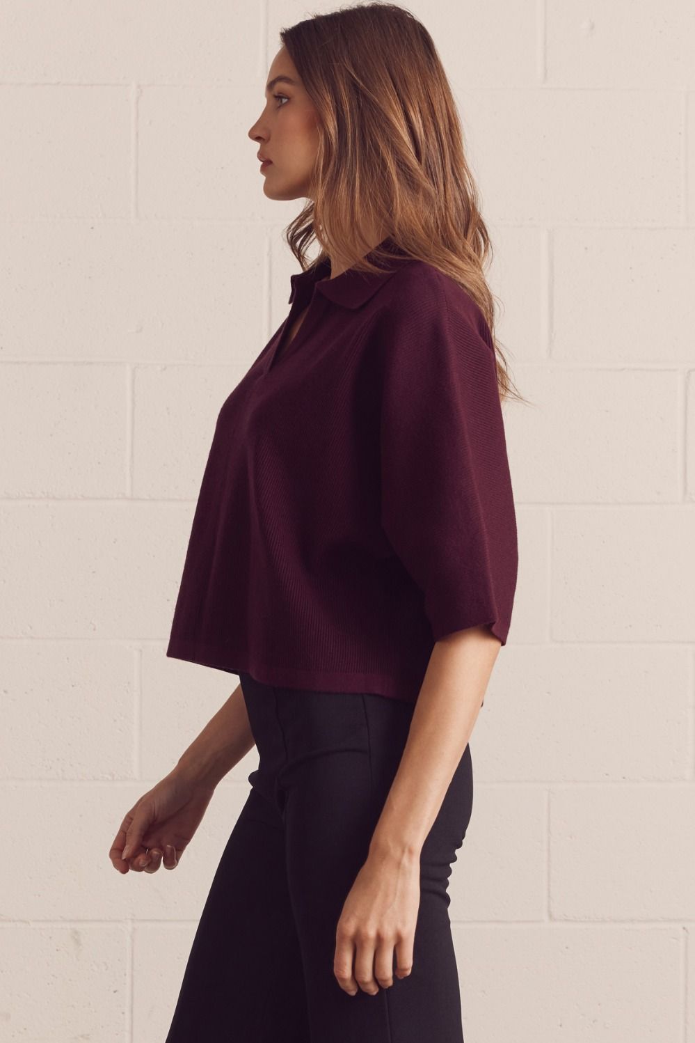 Ashwyn Merlot Knit Top